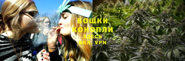 не бодяженный Ладушкин