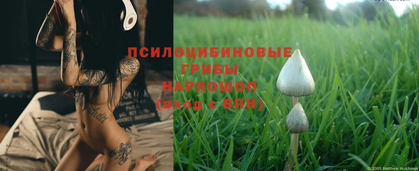 не бодяженный Ладушкин