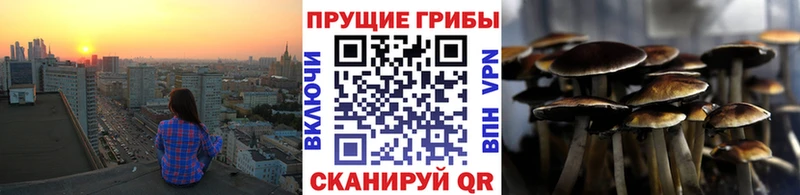 Галлюциногенные грибы GOLDEN TEACHER наркотики Североуральск