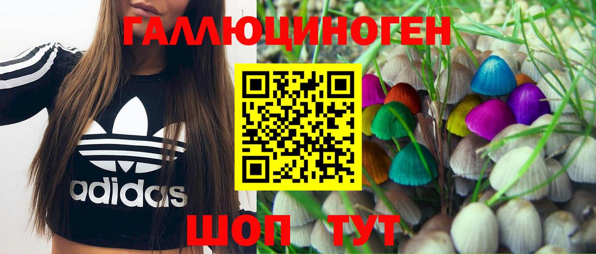 Галлюциногенные грибы Psilocybine cubensis Североуральск