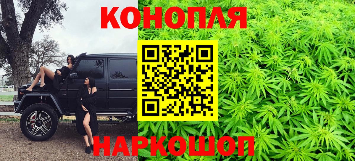 Конопля семена  Конопля OG Kush  Североуральск  Вход с VPN  Марихуана Bruce Banner 